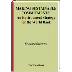 Making Sustainable Commitments An Environment Stra